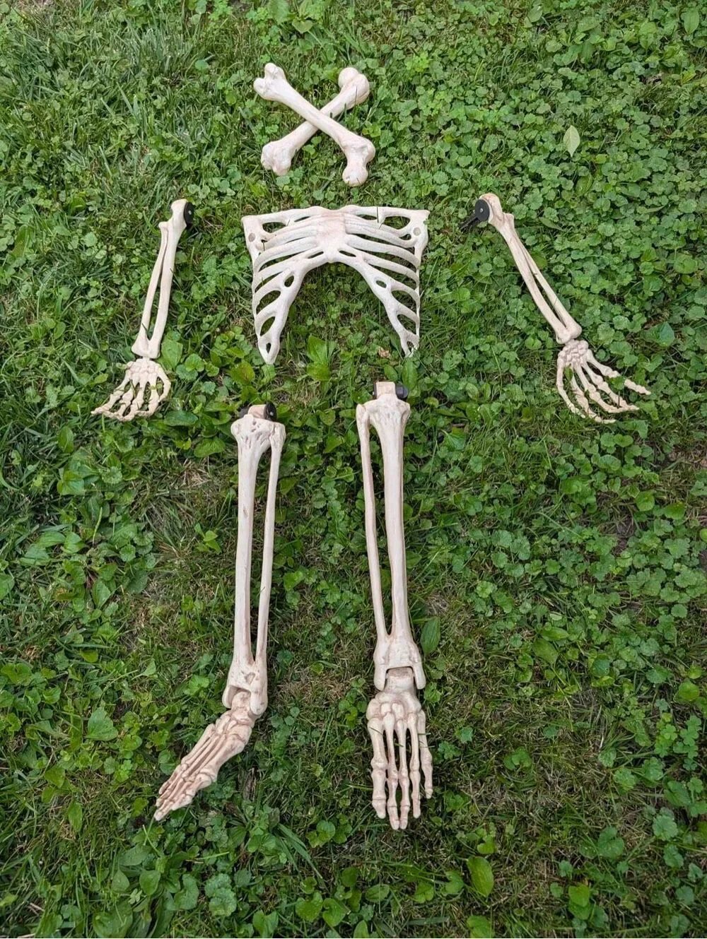 Lot of 2 Buried Alive Skeleton Halloween Decorations